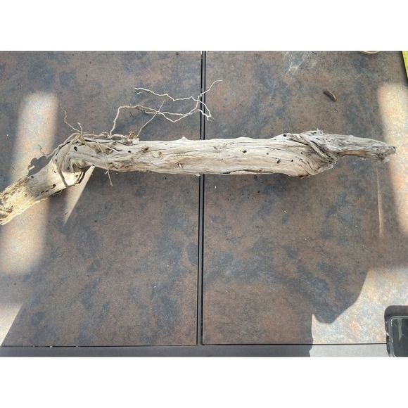 Natural Driftwood for Plants Terrarium Taxidermy Art Projects - Picture 2 of 4